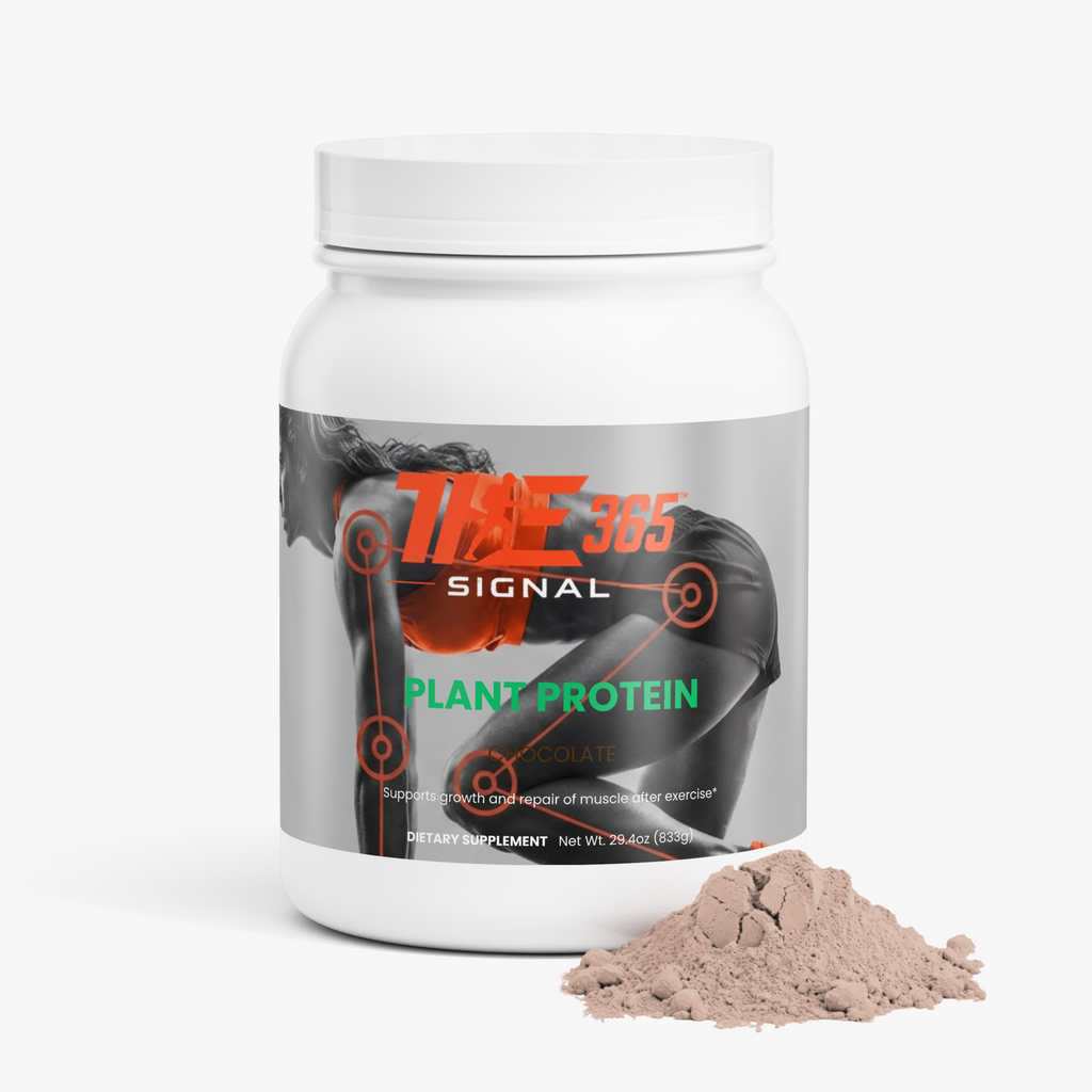 Plant Protein (Chocolate)