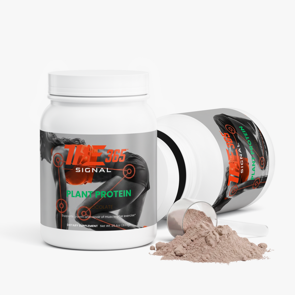 Plant Protein (Chocolate)
