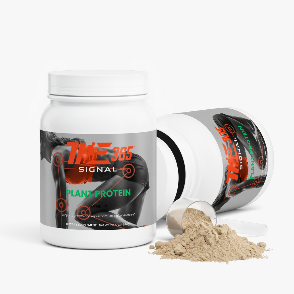 Plant Protein (Vanilla)