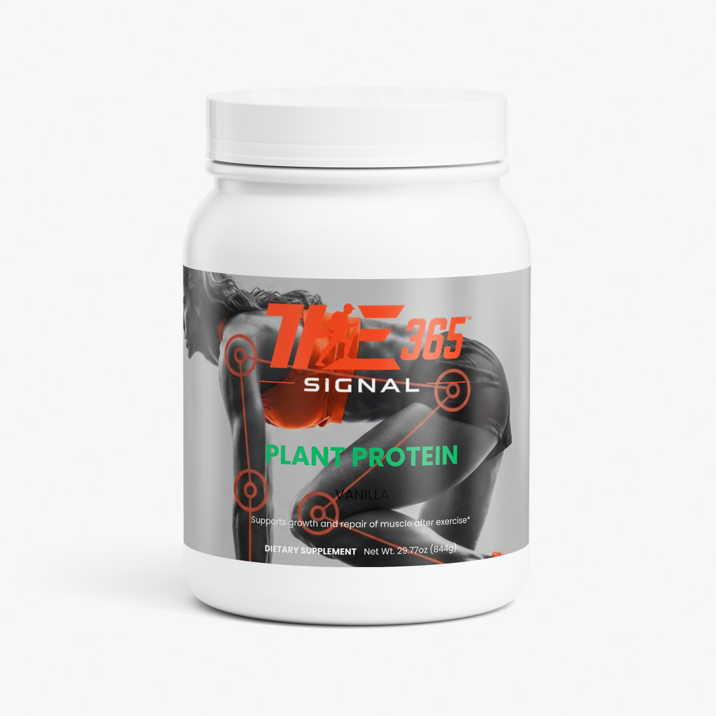 Plant Protein (Vanilla)